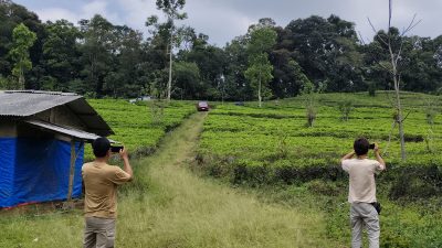 Menelusuri Jejak Hukum Margawindu: Mengapa PT Bukit  Jonggol Asri (BJA) Masih Menjadi Subjek Tunggal yang Sah?
