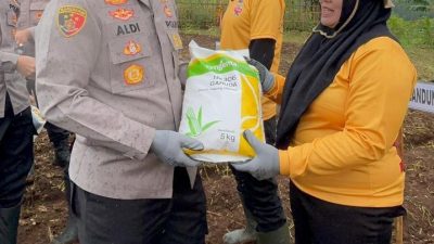 Kapolresta Bandung Pimpin Penanaman Jagung 4 Hektar, Perkuat Swasembada Pangan Nasional